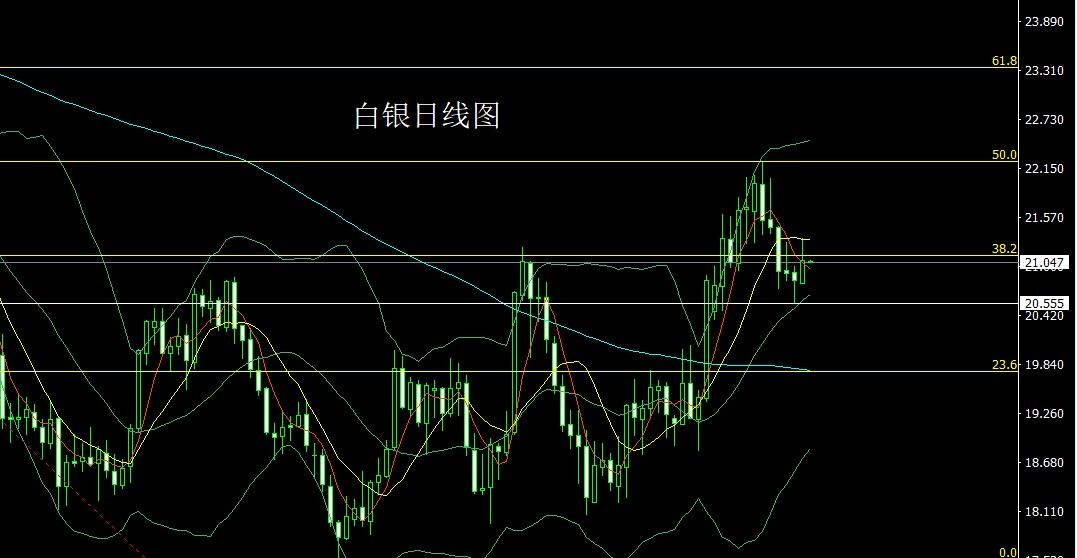 黄金市场新动向，深度剖析最新消息与未来趋势