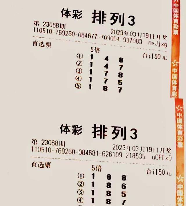 探索3D福利彩票的魅力，一场数字与概率的艺术之旅
