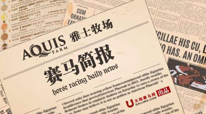今期马会传真，揭秘香港赛马的魅力与文化今期马会传真图片1