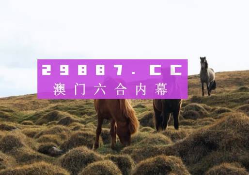 2043新澳门开奖记录查询结果,揭秘背后的意义与影响2o2|年澳门开奖记录