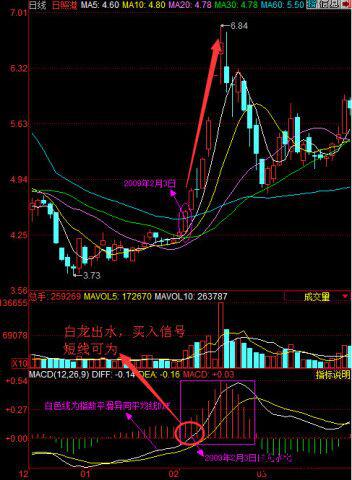 新澳门今晚历史走势图最新预测，探索数字背后的奥秘与未来趋势澳门新问
