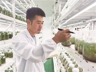 澳门新彩，今晚开奖直播与2015年饲料最新动态的深度解析新澳门开奖记录