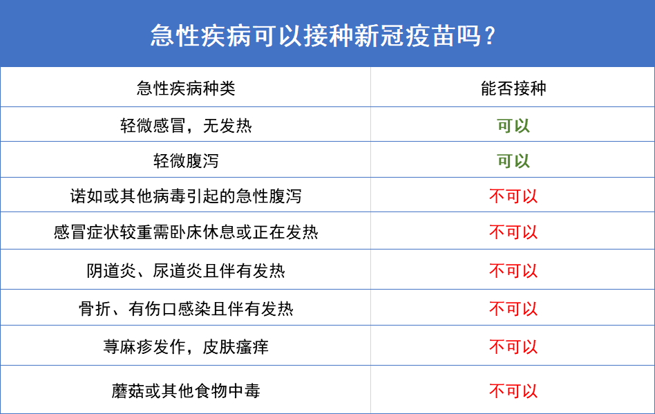 澳门新开奖记录204年一览表，图片、价格与精彩瞬间新澳门开奖结果2020+开奖记录_