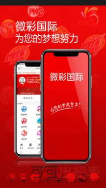 澳门今晚开奖结果查询，全面解析与走势图片汇总新澳门开奖结果2020+开奖记录_